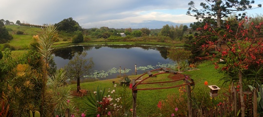 PA280989a.jpg